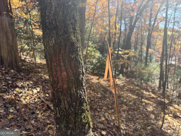 Clayton, GA 30525,0 Crows Nest DR