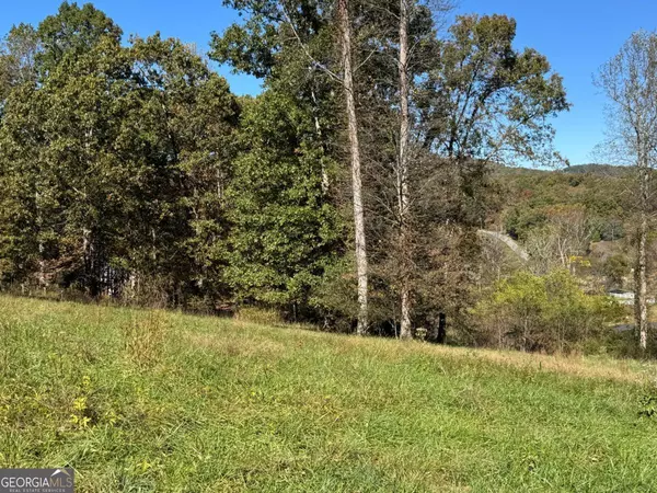 Blairsville, GA 30512,L 13/14 Anns WAY