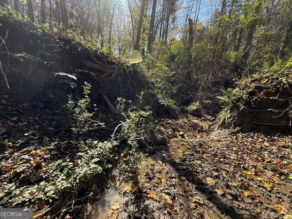 Colbert, GA 30628,2 Lem Edwards RD