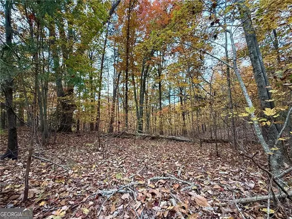 Ranger, GA 30734,1344 Hunter DR