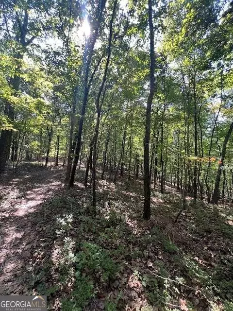 Rockmart, GA 30153,0 Vinson Mountain RD