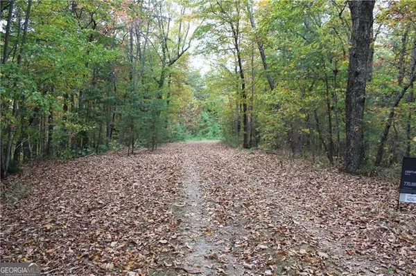 Ellijay, GA 30540,LOT 19 Owl Mountain RD