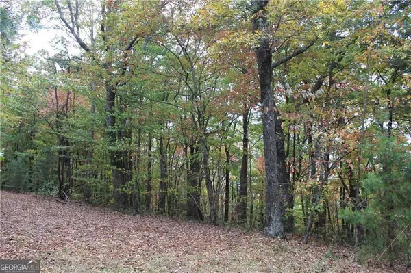 Ellijay, GA 30540,LOT 19 Owl Mountain RD