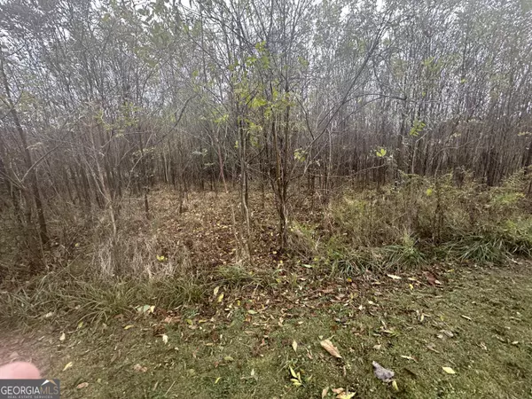 Chatsworth, GA 30705,118 Etna DR