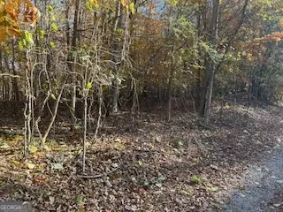 Ball Ground, GA 30107,0 Old Burnt House