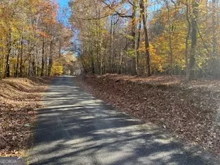 Ball Ground, GA 30107,0 Old Burnt House