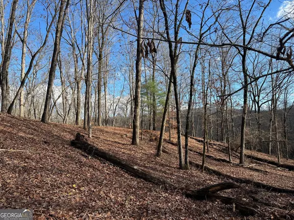 Murrayville, GA 30564,200 Mincey Acres DR