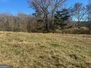 Ball Ground, GA 30107,0 Julius Bridge RD