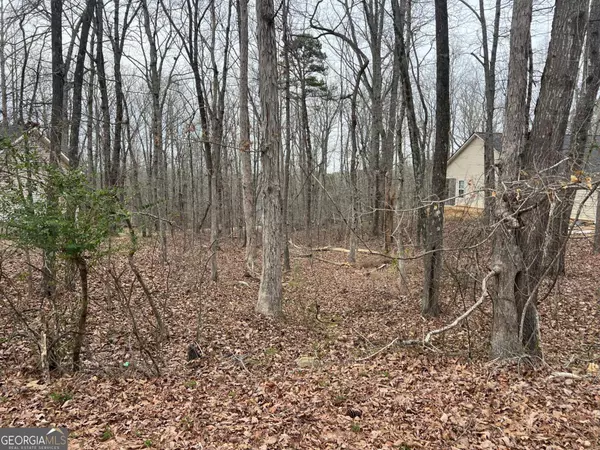 3254 Greenhill CT, Villa Rica, GA 30180