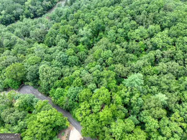 Mineral Bluff, GA 30559,LOT 68 Riverwalk On The Toc #68