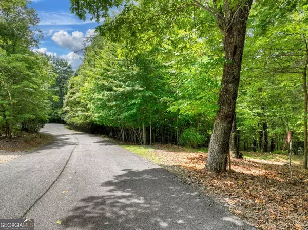 Mineral Bluff, GA 30559,LOT 68 Riverwalk On The Toc #68