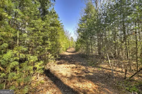 Mineral Bluff, GA 30559,48.4AC Lofty HTS