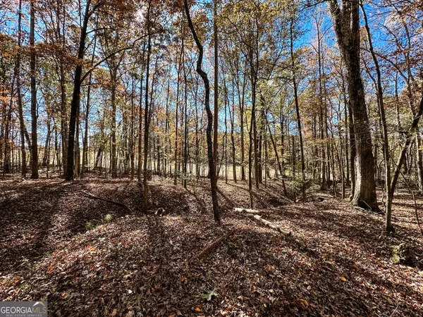 Monticello, GA 31064,0 Highway 16 E