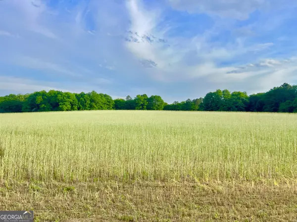 Hawkinsville, GA 31036,47 Southgate LN