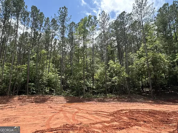 Forsyth, GA 31029,351 Cherokee TRL