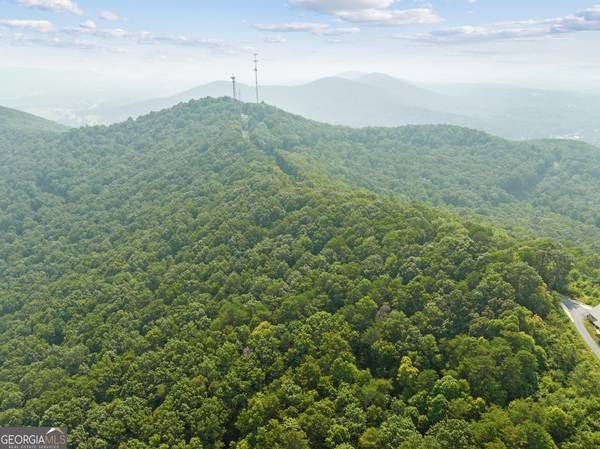 LOT 4 Lake View DR, Cleveland, GA 30528