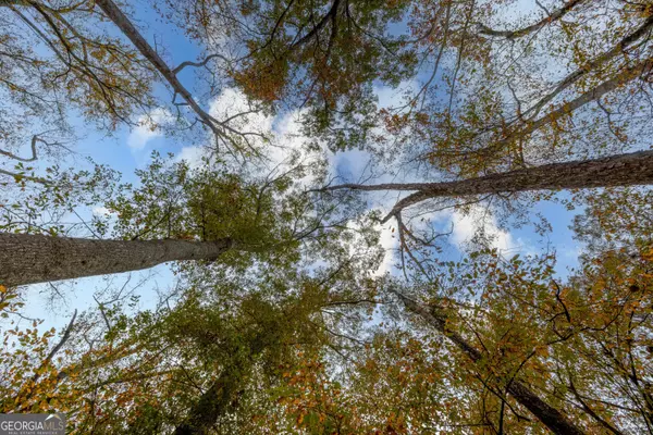 Monroe, GA 30656,0 Bullock Bridge RD #TRACT 1