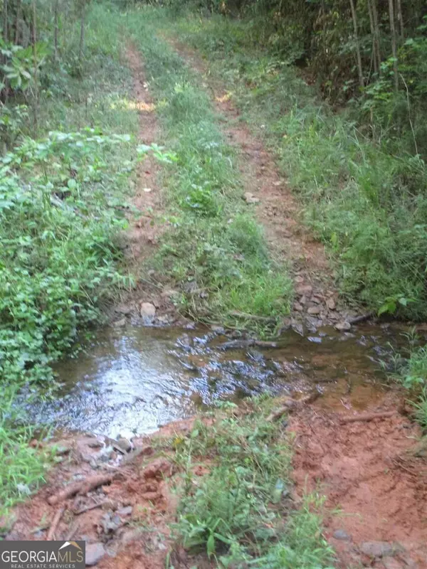 Monticello, GA 31064,0 Holman RD