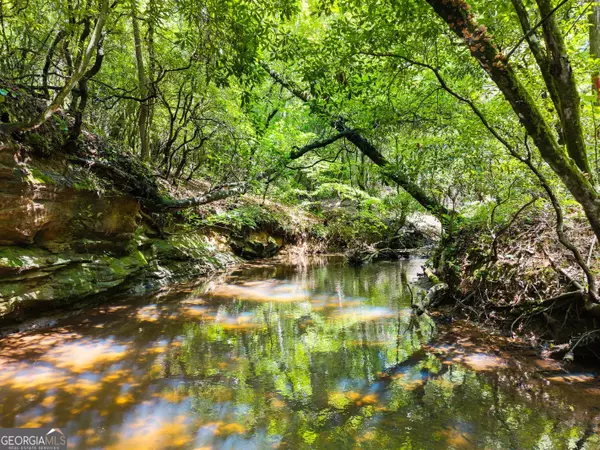 Cleveland, GA 30528,4A 0 Creekside DR