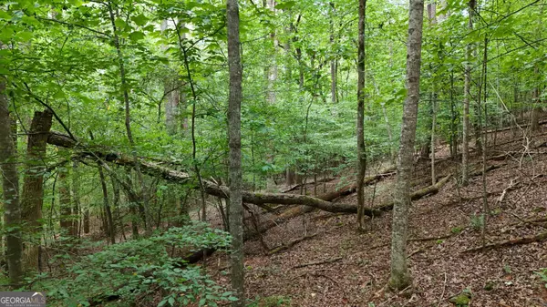 LOT 16 Morris TRL, Cleveland, GA 30528