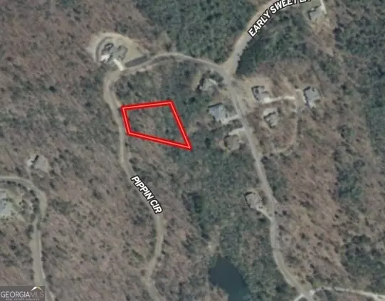 Clarkesville, GA 30523,0 Orchard DR #18