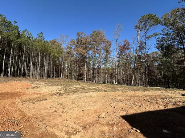 Mansfield, GA 30055,100 Sourwood DR