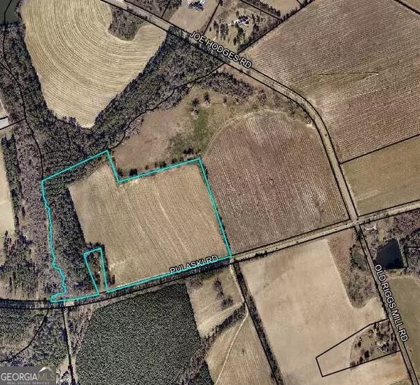 Statesboro, GA 30458,0 LOT 3 Pulaski Rd