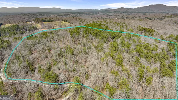 Mineral Bluff, GA 30559,TRACT 3 Old Mill