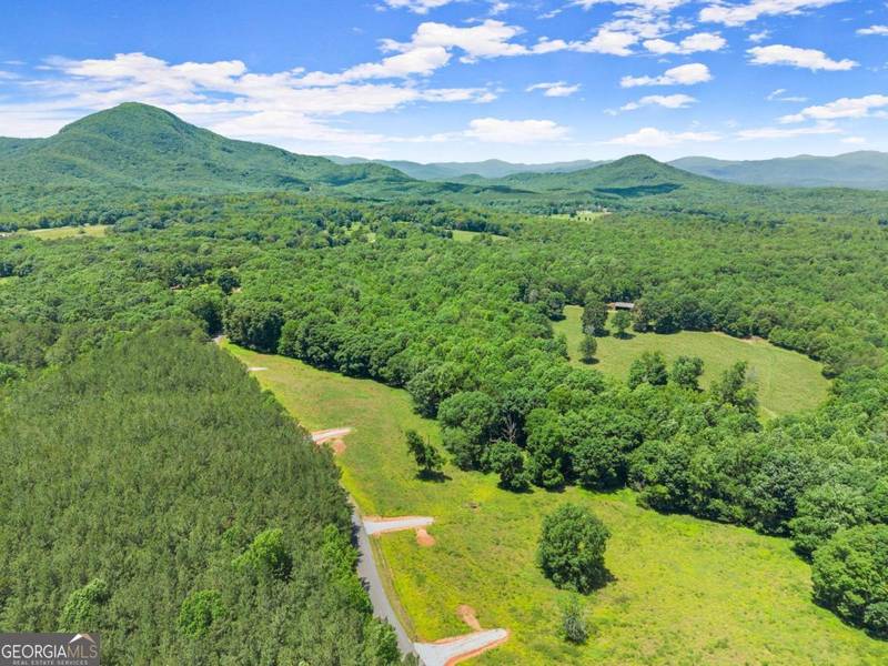 0 Arthur Allen RD, Cleveland, GA 30528