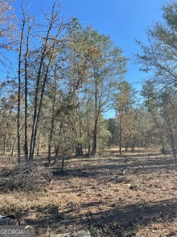 Swainsboro, GA 30401,0 Highway 56 S