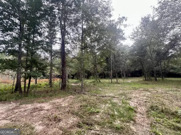 Colbert, GA 30628,0 McCarty Dodd RD