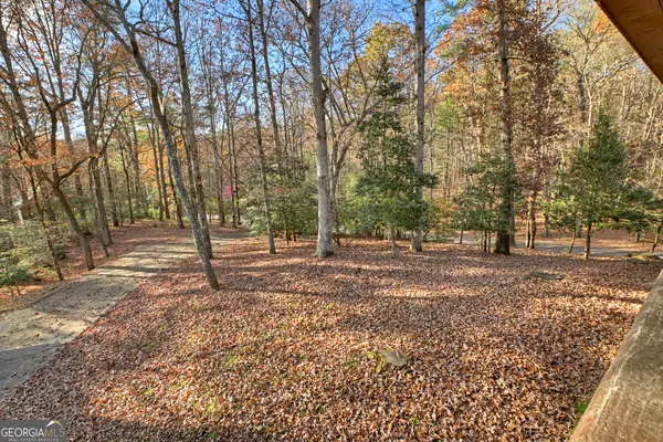 Ellijay, GA 30540,200 Lookiba LN