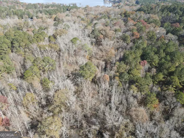 Buckhead, GA 30625,0 Oconee Rd Lot 7