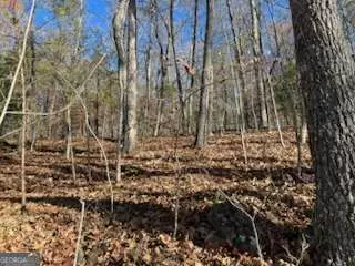 Young Harris, GA 30582,1918 Creekstone LN