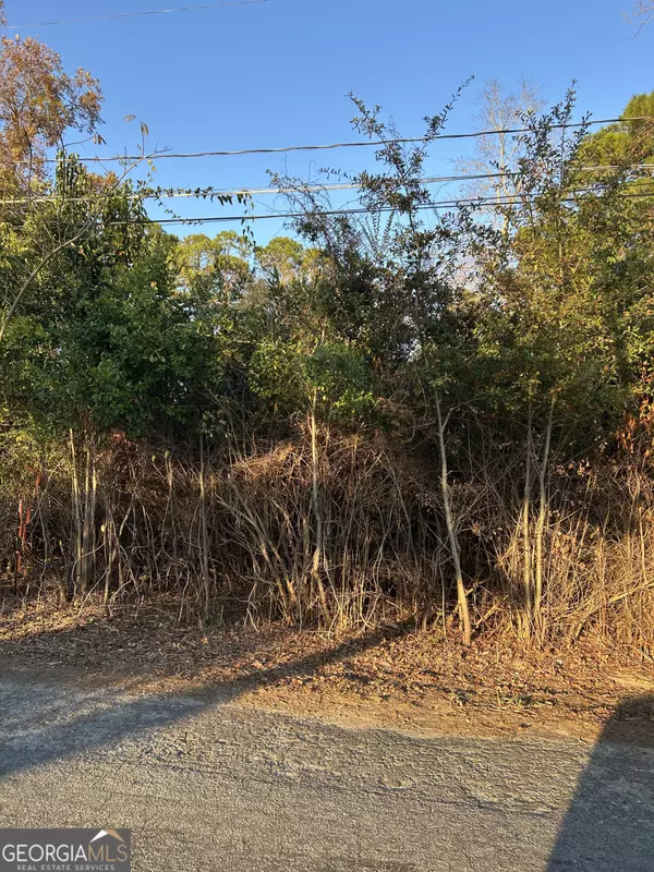 Mcrae, GA 31055,0 Bonaire St