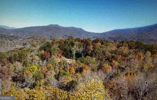 Young Harris, GA 30582,6 Morgan Creek Lot 6 #6