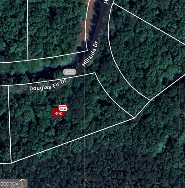 101 Douglas Fir DR, Waleska, GA 30183