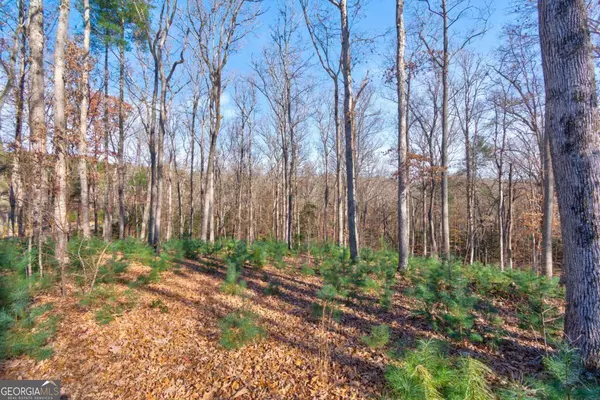 Blairsville, GA 30512,193-4 Oakwood WAY