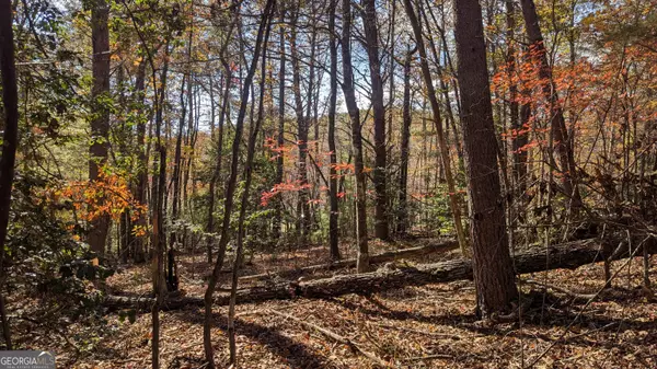 Mineral Bluff, GA 30559,0 Autumn Ridge Drive Lot 10 & Lot 11 DR