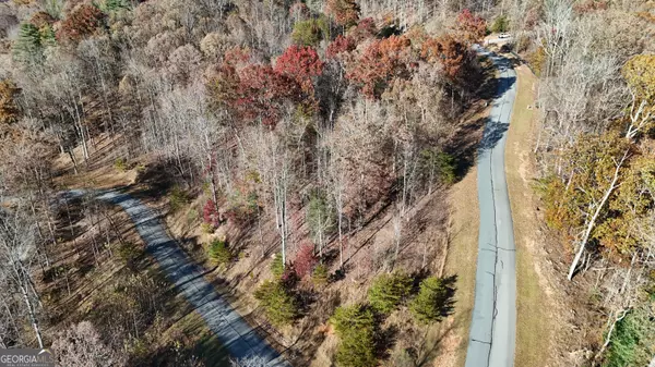 Cleveland, GA 30528,LOT 196 Springwinds DR