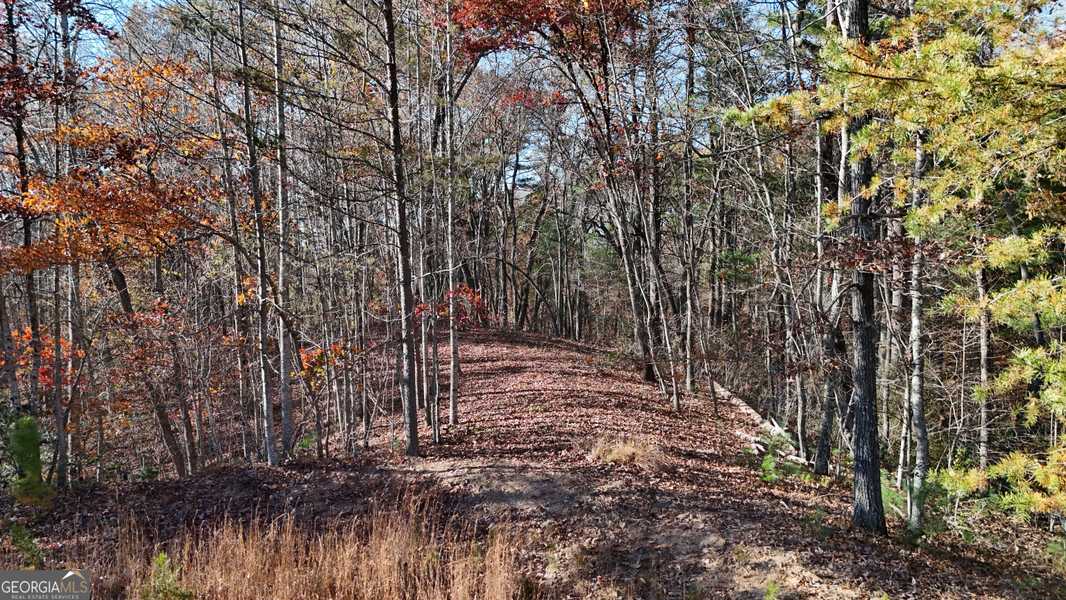 LOT 197 Springwinds DR, Cleveland, GA 30528