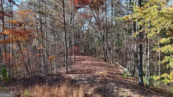 LOT 197 Springwinds DR, Cleveland, GA 30528