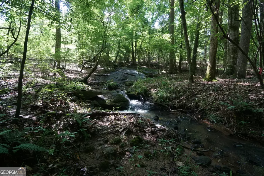 0 Springdale DR, Palmetto, GA 30268