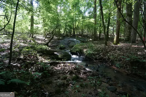 0 Springdale DR, Palmetto, GA 30268