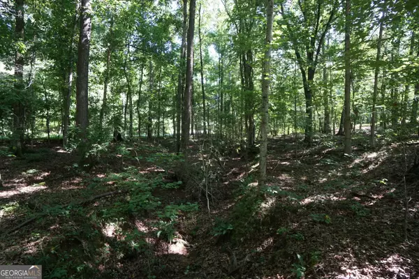 Palmetto, GA 30268,0 Springdale DR