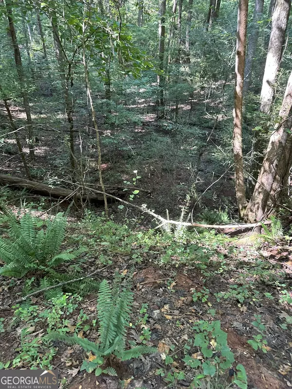 Madison, GA 30650,0 Fears RD