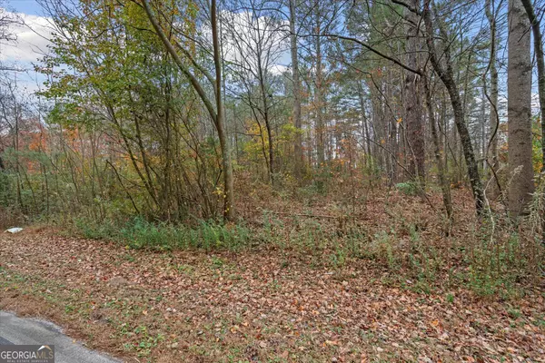 231 Buncombe Waco RD, Waco, GA 30182