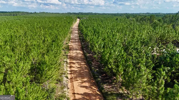 Baxley, GA 31513,0 Penny Morris RD