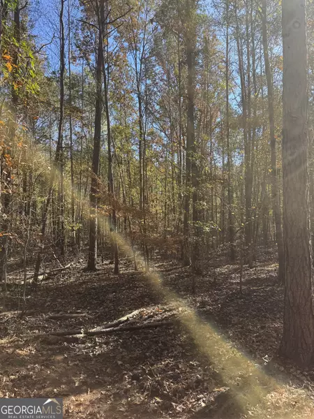 143 W Drummond Rd, West Point, GA 31833