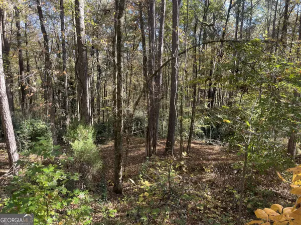 Lagrange, GA 30240,104 Sweetgum DR